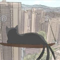猫瞳 猫瞳